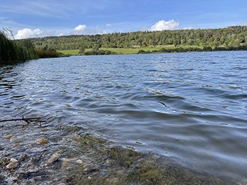 Pêche étang du Moray